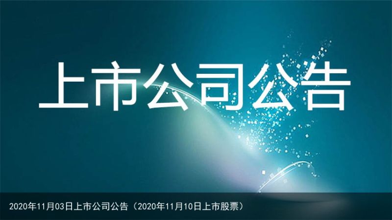 2020年11月03日上市公司公告（2020年11月10日上市股票）