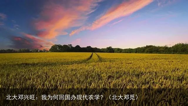 北大邓兴旺：我为何回国办现代农学？（北大邓觅）