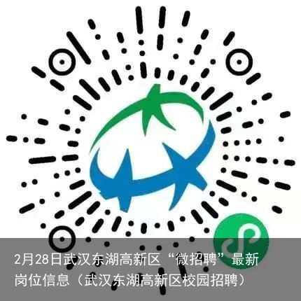 2月28日武汉东湖高新区“微招聘”最新岗位信息（武汉东湖高新区校园招聘）