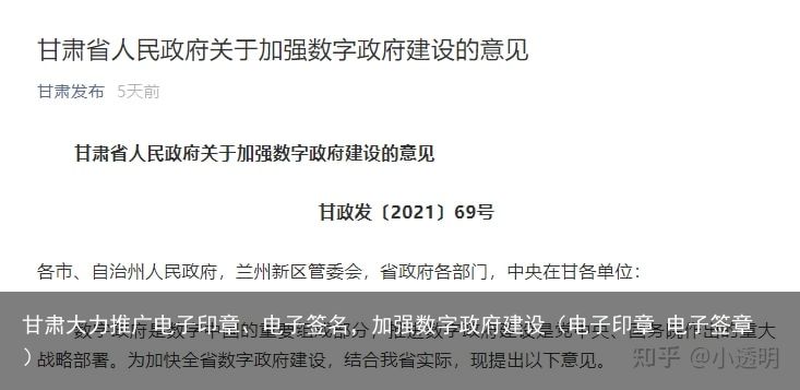 甘肃大力推广电子印章、电子签名，加强数字政府建设（电子印章 电子签章）