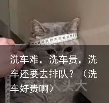 洗车难，洗车贵，洗车还要去排队？（洗车好贵啊）