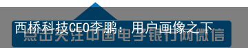 西桥科技CEO李鹏：用户画像之下的精准营销（西桥科技有限公司怎么样）