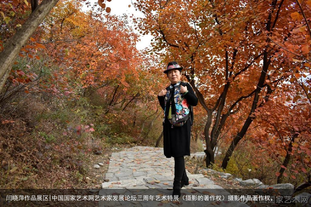 闫晓萍作品展区|中国国家艺术网艺术家发展论坛三周年艺术特展（摄影的著作权）摄影作品著作权，