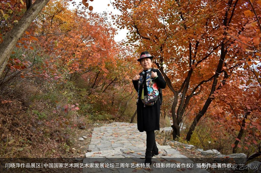 闫晓萍作品展区|中国国家艺术网艺术家发展论坛三周年艺术特展（摄影师的著作权）摄影作品著作权，
