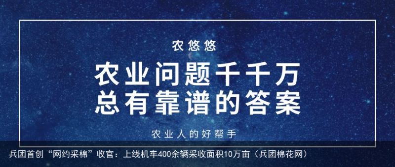 兵团首创“网约采棉”收官：上线机车400余辆采收面积10万亩（兵团棉花网）