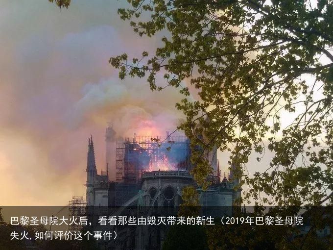 巴黎圣母院大火后，看看那些由毁灭带来的新生（2019年巴黎圣母院失火,如何评价这个事件）