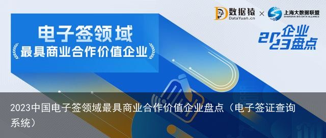 2023中国电子签领域最具商业合作价值企业盘点（电子签证查询系统）