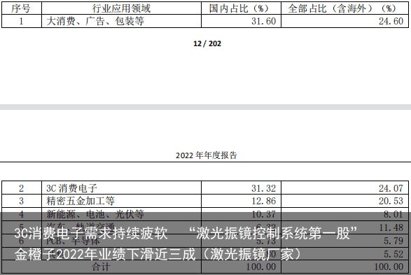 3C消费电子需求持续疲软  “激光振镜控制系统第一股”金橙子2022年业绩下滑近三成（激光振镜厂家）