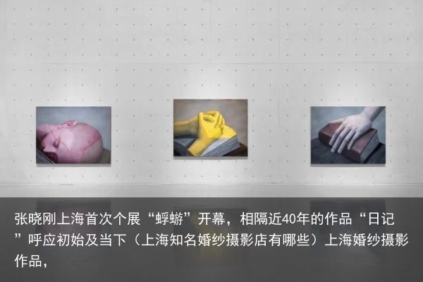 张晓刚上海首次个展“蜉蝣”开幕，相隔近40年的作品“日记”呼应初始及当下（上海知名婚纱摄影店有哪些）上海婚纱摄影作品，
