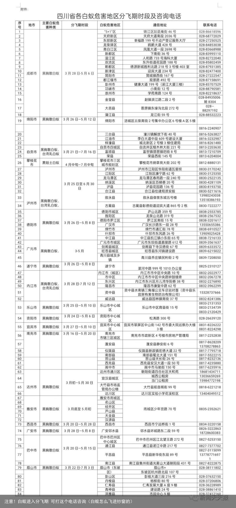 注意！白蚁进入分飞期 可打这个电话咨询（白蚁怎么飞进纱窗的）