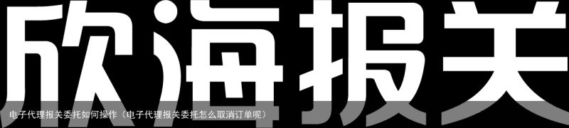 电子代理报关委托如何操作（电子代理报关委托怎么取消订单呢）