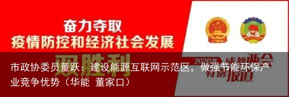 市政协委员董跃：建设能源互联网示范区，做强节能环保产业竞争优势（华能 董家口）