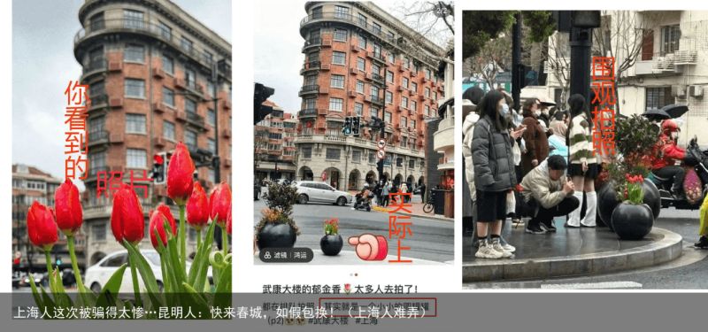上海人这次被骗得太惨…昆明人：快来春城，如假包换！（上海人难弄）