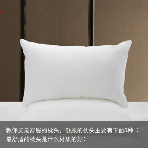 教你买最舒服的枕头，舒服的枕头主要有下面5种（最舒适的枕头是什么材质的好）
