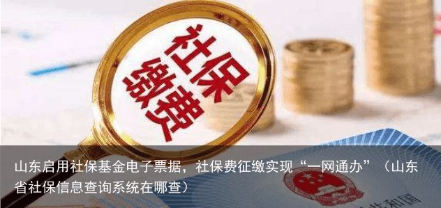 山东启用社保基金电子票据，社保费征缴实现“一网通办”（山东省社保信息查询系统在哪查）