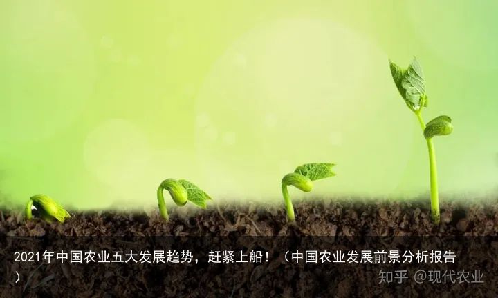 2021年中国农业五大发展趋势，赶紧上船！（中国农业发展前景分析报告）