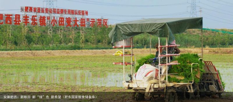 安徽肥西：新粮田 新“绿”色 新希望（肥东国家粮食储备库）