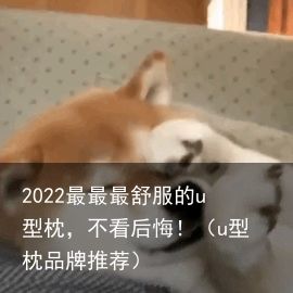 2022最最最舒服的u型枕，不看后悔！（u型枕品牌推荐）