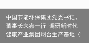 中国节能环保集团党委书记、董事长宋鑫一行 调研新时代健康产业集团烟台生产基地（中国节能环保集团组织机构）