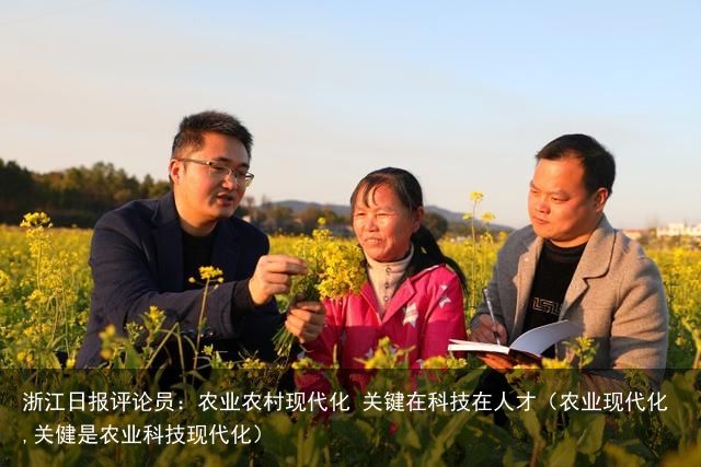 浙江日报评论员：农业农村现代化 关键在科技在人才（农业现代化,关健是农业科技现代化）