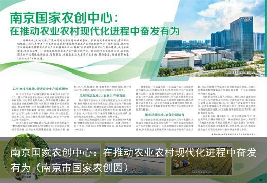 南京国家农创中心：在推动农业农村现代化进程中奋发有为（南京市国家农创园）