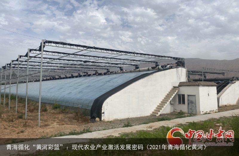 青海循化“黄河彩篮”：现代农业产业激活发展密码（2021年青海循化黄河）