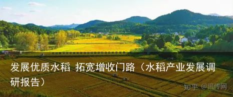 发展优质水稻 拓宽增收门路（水稻产业发展调研报告）