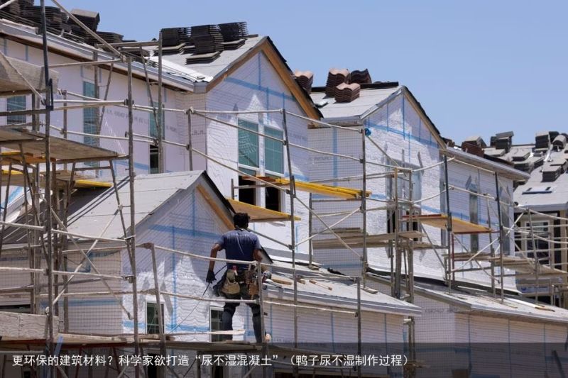 更环保的建筑材料？科学家欲打造“尿不湿混凝土”（鸭子尿不湿制作过程）