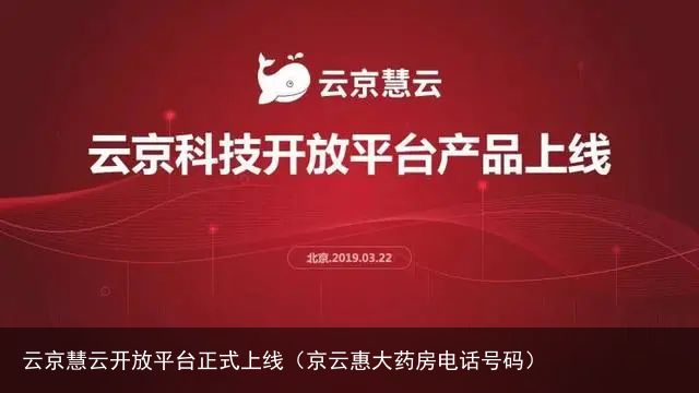 云京慧云开放平台正式上线（京云惠大药房电话号码）