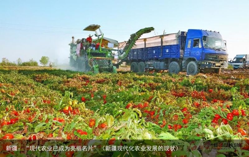 新疆：“现代农业已成为亮丽名片”（新疆现代化农业发展的现状）