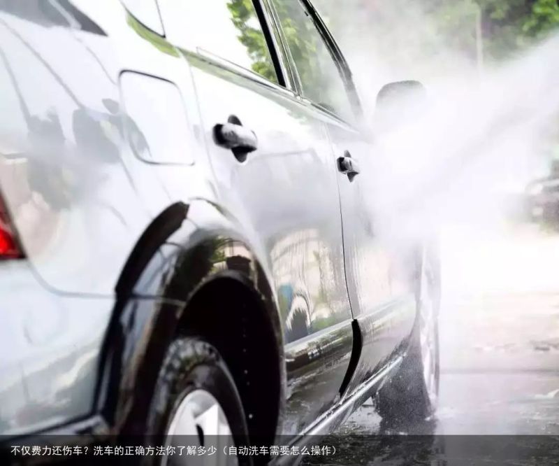 不仅费力还伤车？洗车的正确方法你了解多少（自动洗车需要怎么操作）