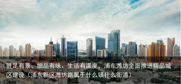 驻足有景、细品有味、生活有温度，浦东潍坊全面推进精品城区建设（浦东新区潍坊路属于