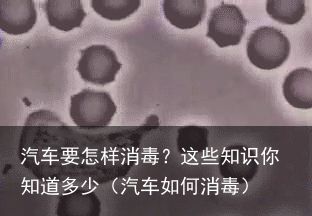 汽车要怎样消毒？这些知识你知道多少（汽车如何消毒）