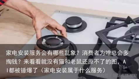 家电安装服务会有哪些乱象？消费者为啥总会多掏钱？来看看就没有猫和老鼠还原不了的图