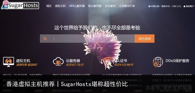 香港虚拟主机推荐丨SugarHosts堪称超性价比