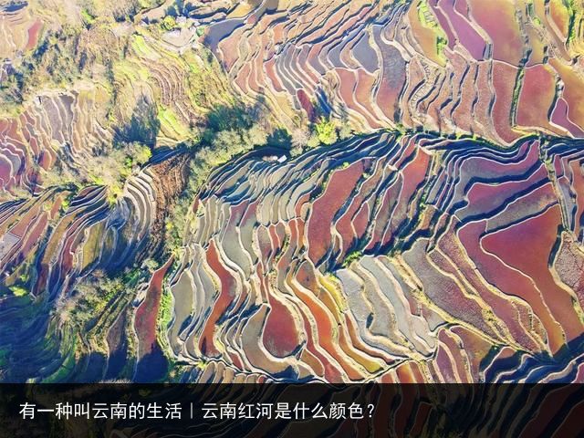 有一种叫云南的生活｜云南红河是什么颜色？