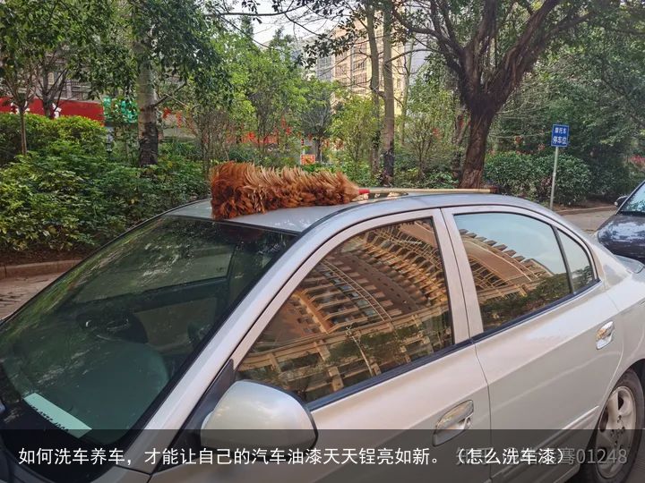 如何洗车养车，才能让自己的汽车油漆天天锃亮如新。（怎么洗车漆）