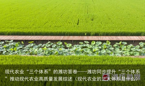 现代农业“三个体系”的潍坊答卷——潍坊同步提升“三个体系”推动现代农业高质量发展综述（现代农业的三大体系是什么）