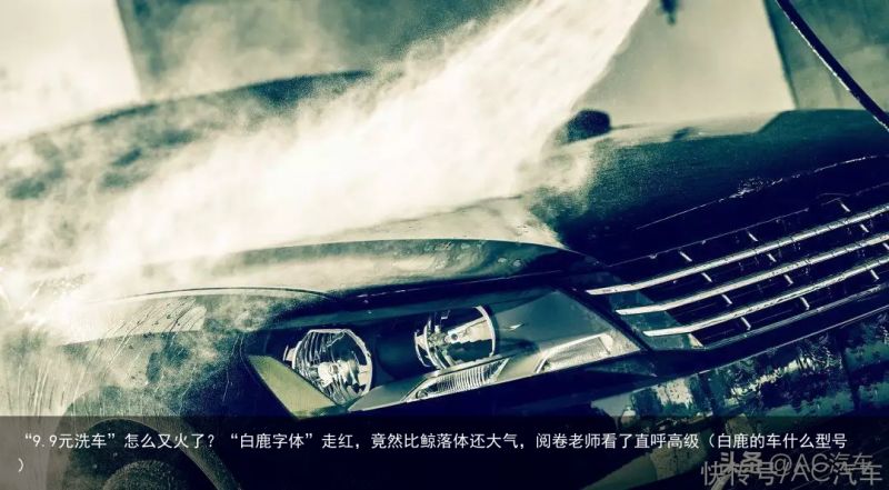 “9.9元洗车”怎么又火了？“白鹿字体”走红，竟然比鲸落体还大气，阅卷老师看了直