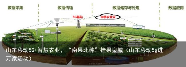 山东移动5G+智慧农业，“南果北种”挂果泉城（山东移动5g进万家活动）