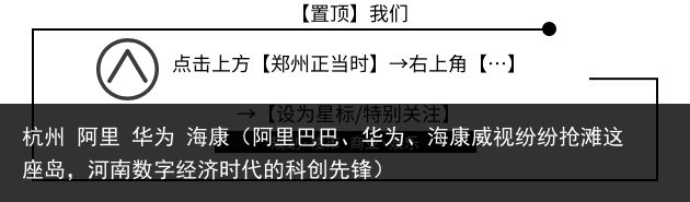 杭州 阿里 华为 海康（阿里巴巴、华为、海康威视纷纷抢滩这座岛，河南数字经济时代的科创先锋）