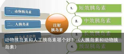 动物胰岛素和人工胰岛素哪个好？（人胰岛素和动物胰岛素）