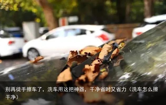 别再徒手擦车了，洗车用这把神器，干净省时又省力（洗车怎么擦干净）