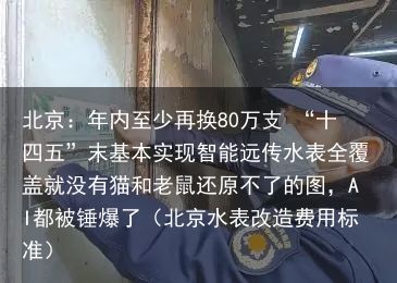 北京：年内至少再换80万支 “十四五”末基本实现智能远传水表全覆盖就没有猫和老鼠