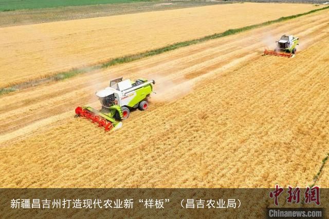 新疆昌吉州打造现代农业新“样板”（昌吉农业局）