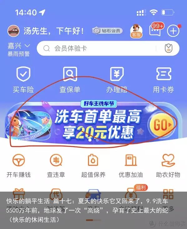 快乐的躺平生活 篇十七：夏天的快乐它又回来了，9.9洗车5500万年前，地球发了