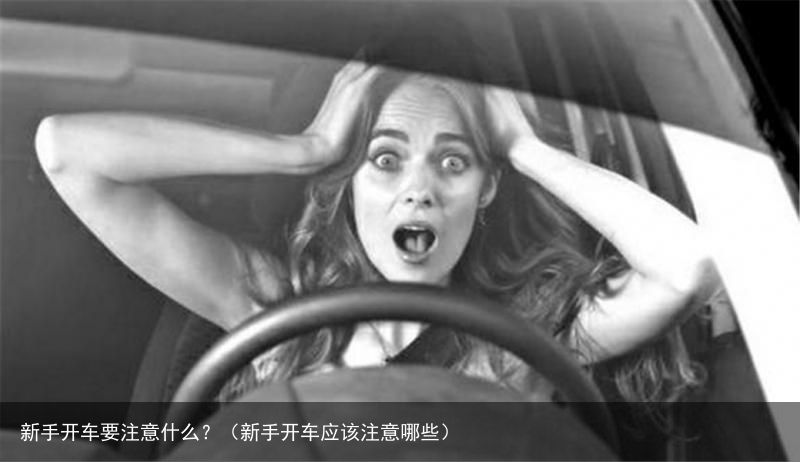 新手开车要注意什么？（新手开车应该注意哪些）