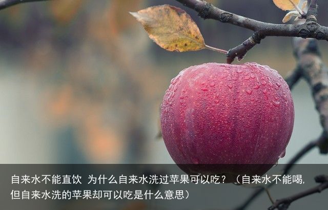 自来水不能直饮 为什么自来水洗过苹果可以吃？（自来水不能喝,但自来水洗的苹果却可