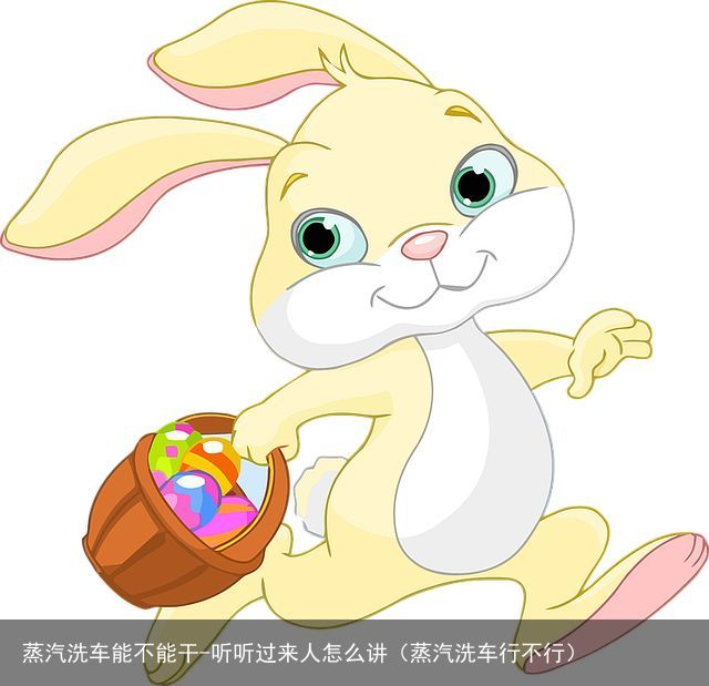 蒸汽洗车能不能干-听听过来人怎么讲（蒸汽洗车行不行）