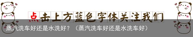 蒸汽洗车好还是水洗好？（蒸汽洗车好还是水洗车好）